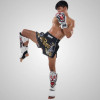 TUFF «Tiger» Shin Guard Muay Thai Boxing White