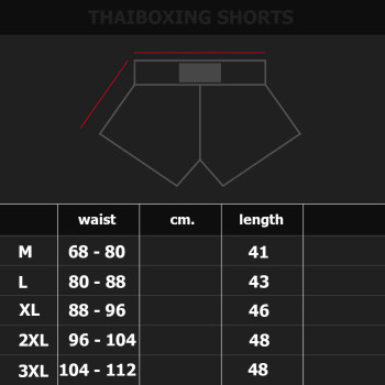 Thaiboxing Muay Thai Shorts Gray-Black Free Shipping