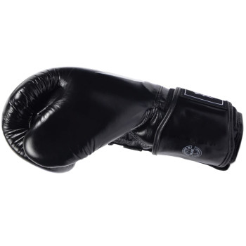 Fairtex Titan Boxing Gloves Black