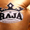 Raja Boxing Muay Thai Gloves "Single Color" Gold