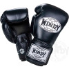 Windy BGN Mesh Kickboxing Gloves Black