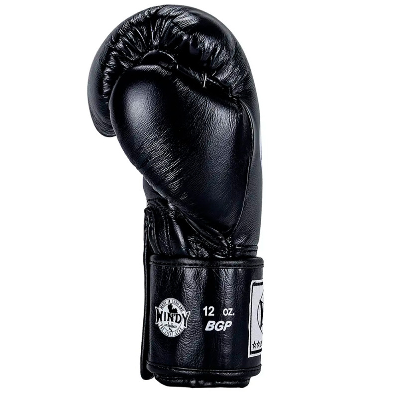 Windy BGP Boxing Gloves "Proline" Black