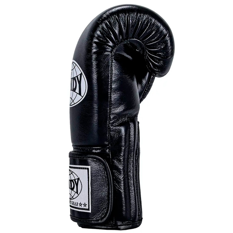 Windy BGP Boxing Gloves "Proline" Black