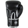 Windy BGVH Boxing Gloves Black Silver