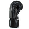 Windy BGVH Boxing Gloves Black Silver
