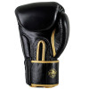 Windy BGVH Boxing Gloves Black Gold