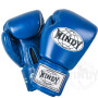 Windy BGVH Boxing Gloves Blue