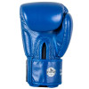 Windy BGVH Boxing Gloves Blue