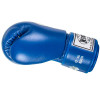 Windy BGVH Boxing Gloves Blue