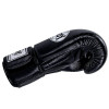 Windy BGVH Boxing Gloves Black
