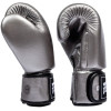 Fairtex BGV1C-PLUS Boxing Gloves Gun Metallic