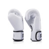 Fairtex BGV1C-PLUS Boxing Gloves White