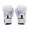 Fairtex BGV1C-PLUS Boxing Gloves White
