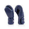 Fairtex BGV1C-PLUS Boxing Gloves Blue