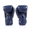 Fairtex BGV1C-PLUS Boxing Gloves Blue