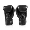 Fairtex BGV1C-PLUS Boxing Gloves Black