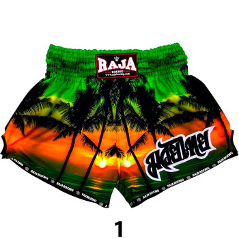 Raja Boxing SP67 Shorts Free Shipping
