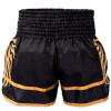 TKB TopKing TKTBS-268 Muay Thai Boxing Shorts Free Shipping