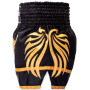 TKB Top King TKTBS-268 Muay Thai Boxing Shorts Free Shipping