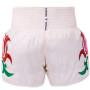 TKB Top King TKTBS-272 Muay Thai Boxing Shorts Free Shipping