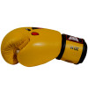 Raja Boxing Muay Thai Gloves "Pikachu" 