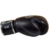 Raja Boxing Muay Thai Gloves "Double Line" Black