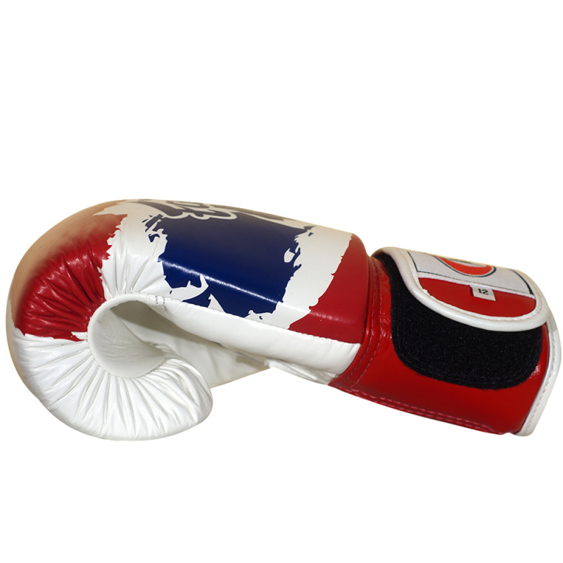 Fairtex BGV1 Boxing Gloves Universal "Thai Pride"