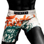 Fairtex MMA Shorts Board "Desert Rider" Free Shipping