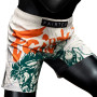 Fairtex MMA Shorts Board "Desert Rider" Free Shipping