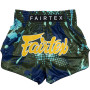 Fairtex BS1954 "Matrix" Muay Thai Boxing Shorts Free Shipping