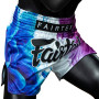 Fairtex BS1950 "Tech House" White Muay Thai Boxing Shorts Free Shipping