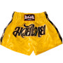 Raja Muay Thai Boxing Shorts "Lai Thai" Free Shipping