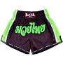 Raja Boxing RTB29-16 Muay Thai Shorts Free Shipping