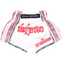 Raja Boxing "R-Karean-2" Muay Thai Shorts Free Shipping