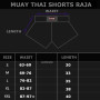 Raja Boxing SP67 Muay Thai Shorts Free Shipping