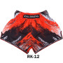 Raja Boxing Muay Thai Shorts Free Shipping