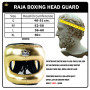 Raja Boxing Headgear Head Guard Full Face Bumper Gold