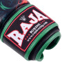 Raja Boxing Muay Thai Gloves "Snake"