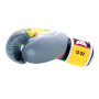 Raja Boxing Muay Thai Gloves "Christmas Dear" 