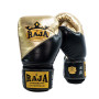 Raja "Air 2" Muay Thai Boxing Gloves Gold