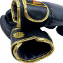 Raja Boxing Muay Thai Gloves "Origin" Black