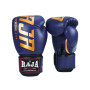 Raja Boxing Muay Thai Gloves "Model 2"  