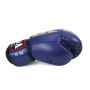 Raja Boxing Muay Thai Gloves "Model 2"  