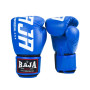 Raja Boxing Muay Thai Gloves "Model 2"  