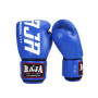 Raja Boxing Muay Thai Gloves "Model 2"  