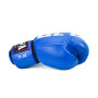 Raja Boxing Muay Thai Gloves "Model 2"  