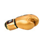 Raja Boxing Muay Thai Gloves "Model 2"  