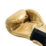 Raja Boxing Muay Thai Gloves "Single Color" Gold