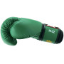 Raja Boxing Muay Thai Gloves "Single Color" Green