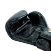 Raja Boxing Muay Thai Gloves "Single Color" Black
